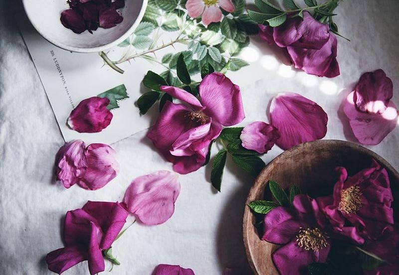The Magic Feminine Healing of Rose