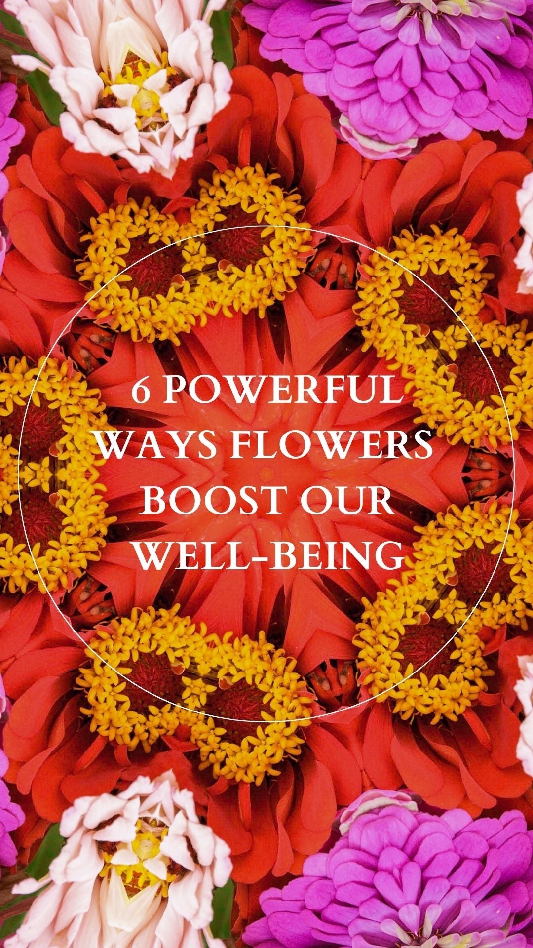 The Pharmacy of Flowers: Ways Flowers Boost Our Well-Being