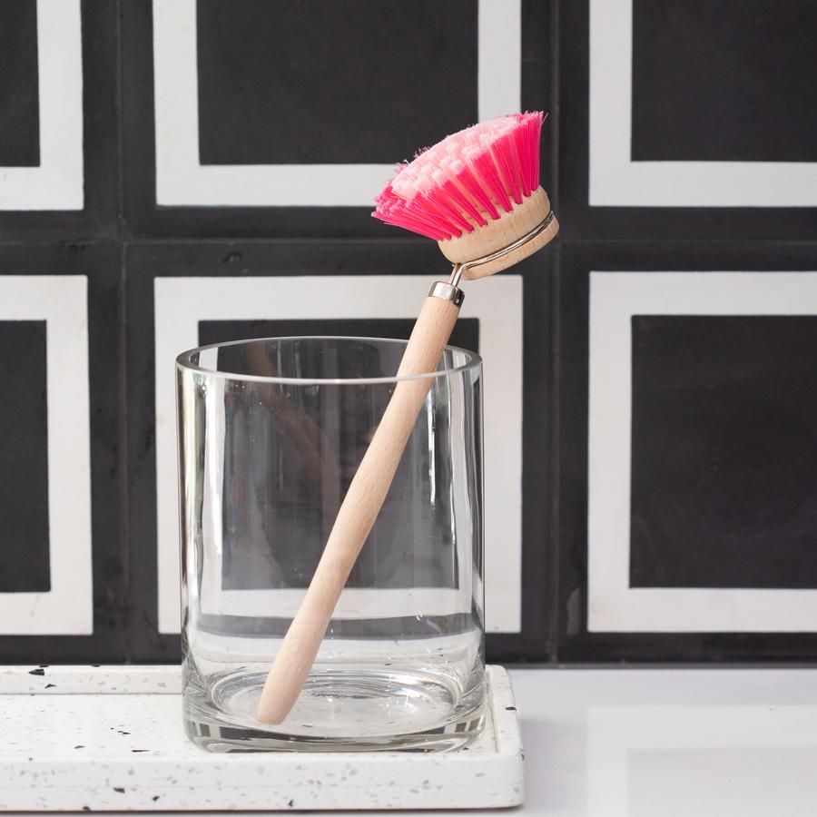 Dish Brush