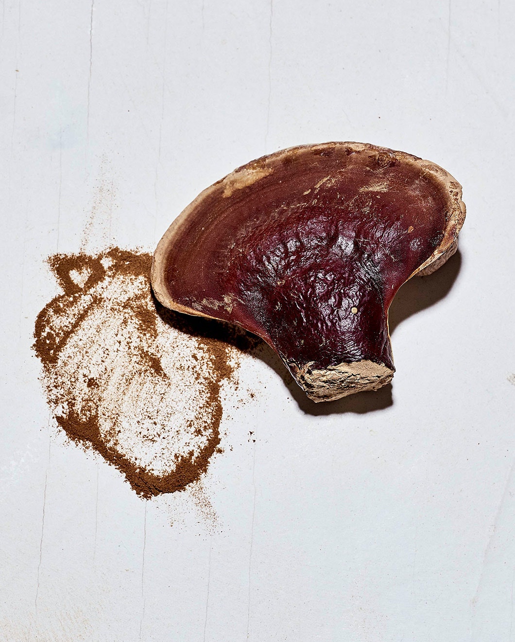 Mushroom Elixir with Reishi
