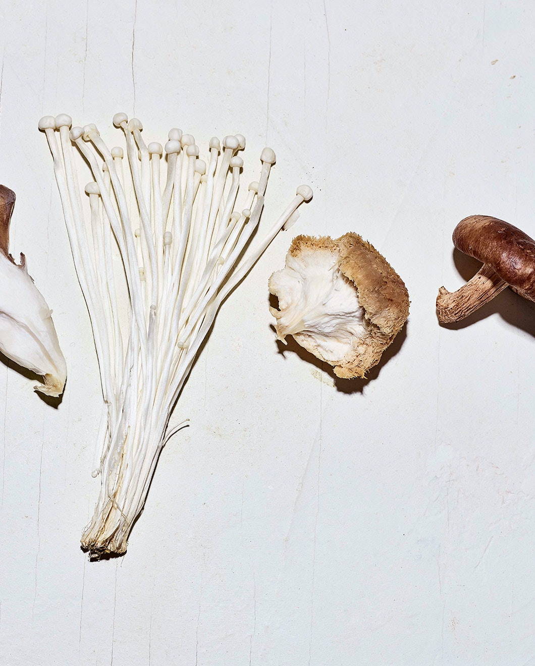 Organic Mushroom Blend Mix Clearance Item