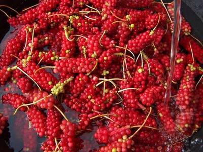 Schisandra Rose Tonic *SALE