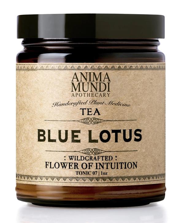 Wild Blue Lotus Tea