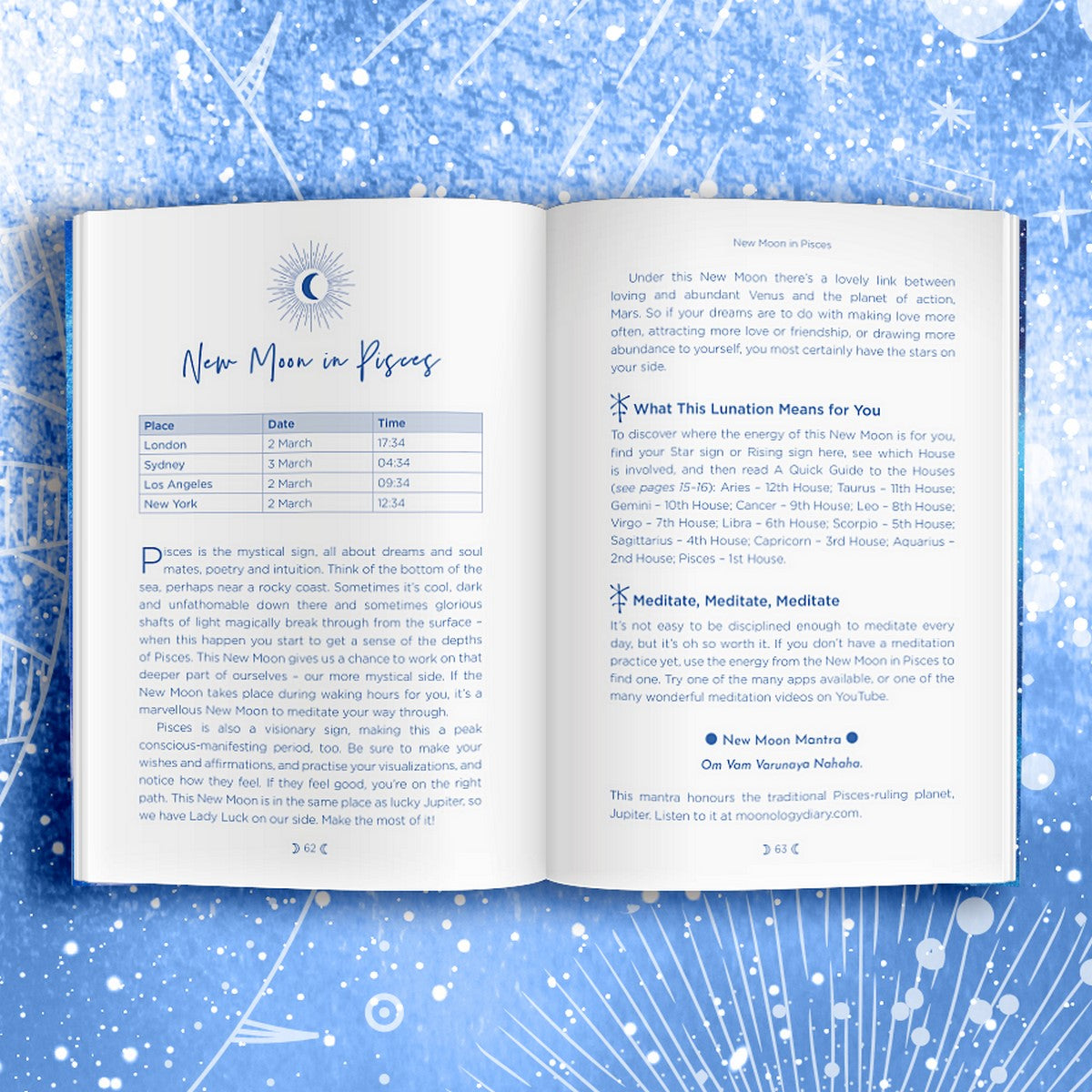 Moon Diary 2022 (Clearance)