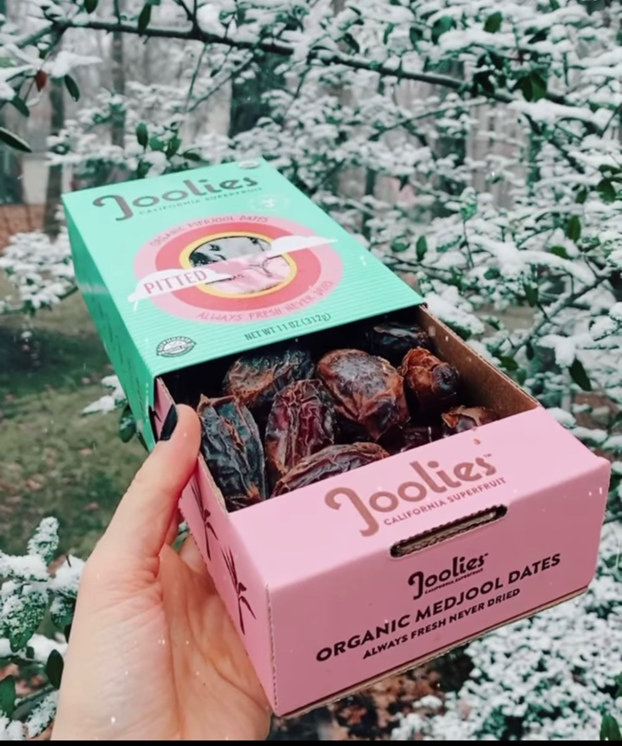 Organic Pitted Medjool Dates