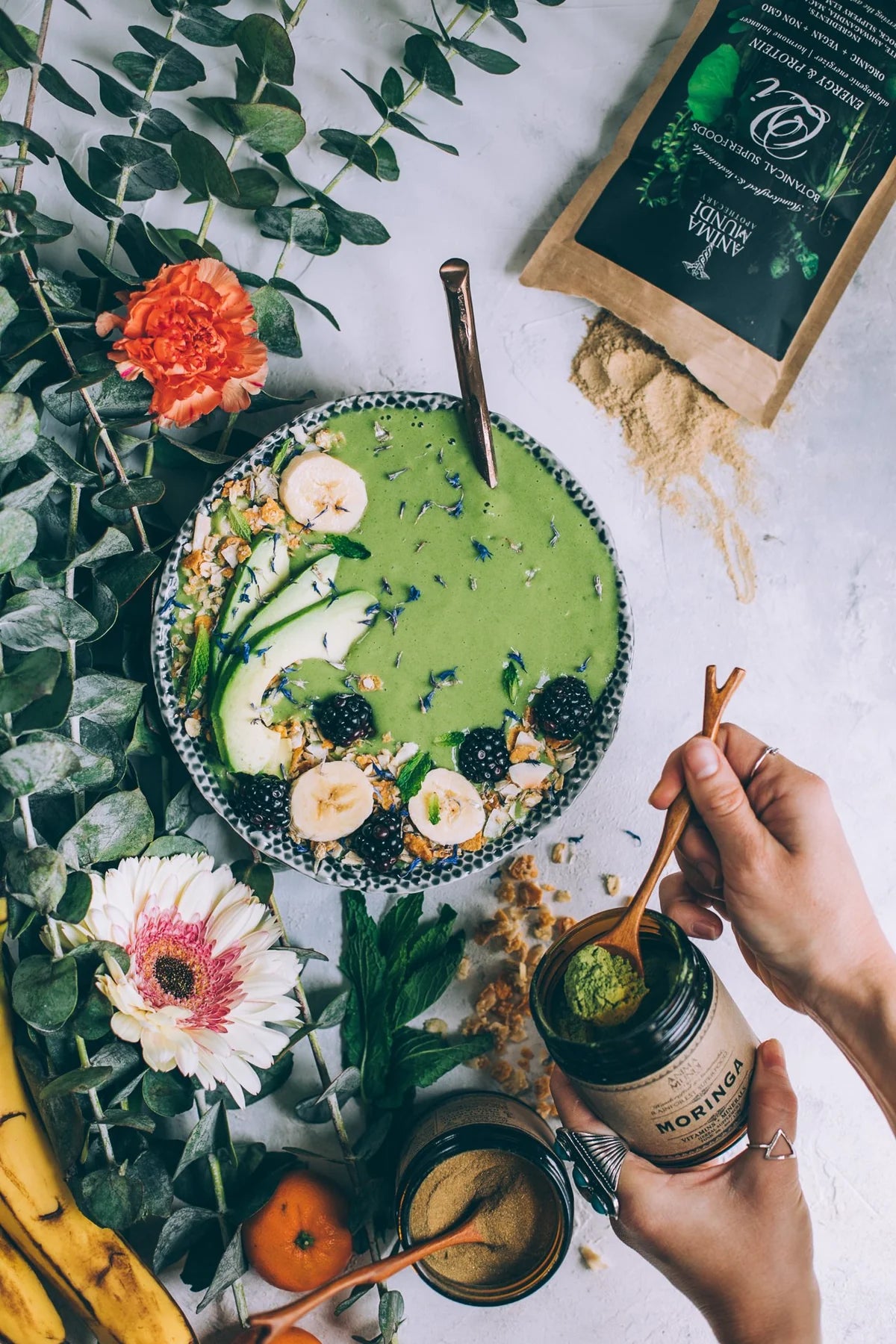 Organic Moringa SALE